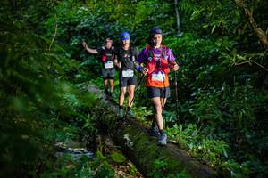 BIB: 
                            <button type="button" onclick="openModal(18922116)" class="btn btn-primary btn-sm float-right btn-popup" data-toggle="modal" data-target=".modal-high-quality">
                        <i class="fas fa-shopping-cart"></i> Add to Cart
                    </button>
                                            <button type="button" onclick="isThisMe(18922116, true)" class="btn btn-success btn-sm float-right btn-popup btn-isme hidden" data-toggle="tooltip" data-placement="bottom" title="นี่คือรูปของคุณใช่ไหม คลิกที่นี่เพื่อเอาเข้าอัลบั้ม">
                        <i class="fas fa-plus"></i> Add to album
                    </button>
                    <button type="button" onclick="isThisMe(18922116, false)" class="btn btn-warning btn-sm float-right btn-popup btn-isnotme hidden">
                        <i class="fas fa-ban"></i> Remove from album
                    </button>